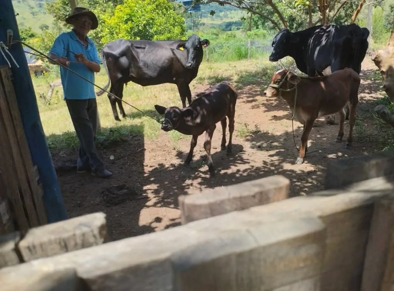 Vendo Chácara em Muribeca  - Foto 4