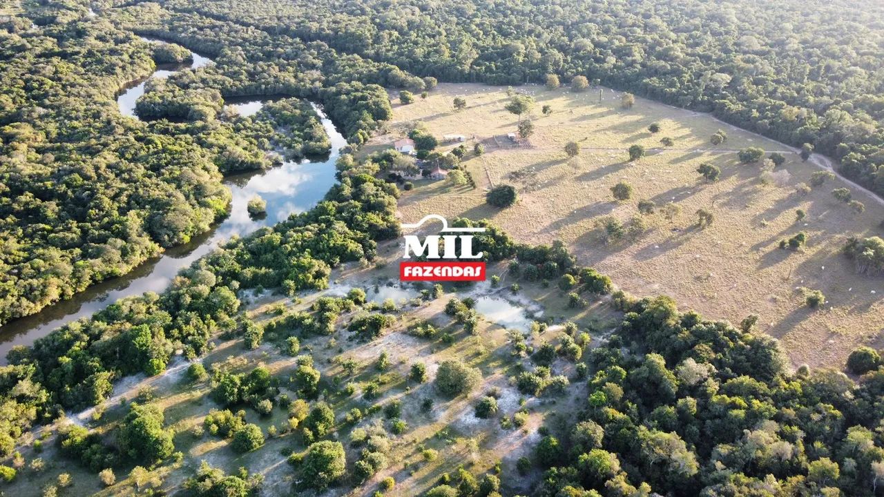 Fazenda 442 Alq. (2.139 Há) Cocalinho-MT - Foto 2