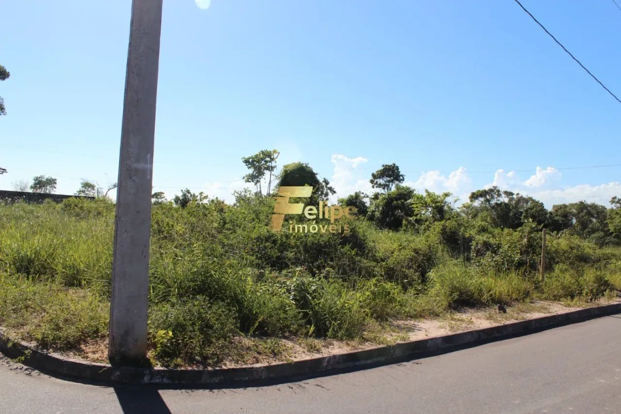 TERRENO AMPLO E LINEAR EM UBÚ! - Foto 3