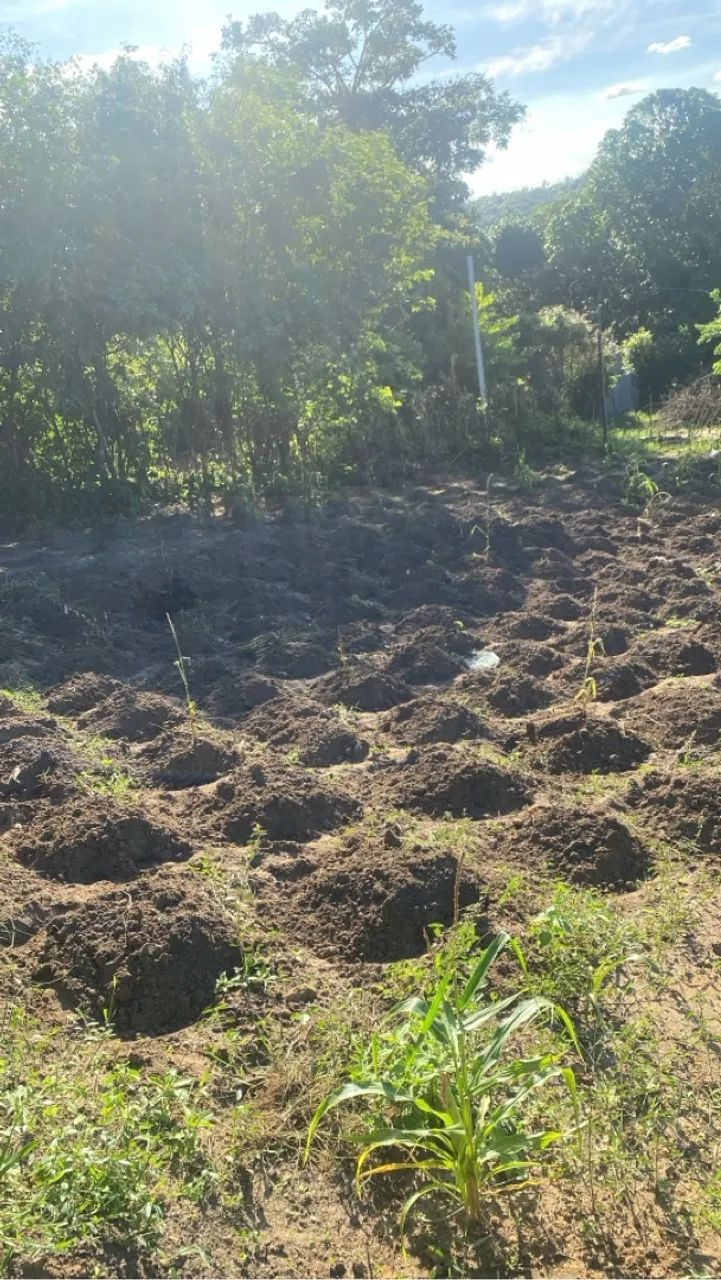 TERRENO 10x30 LOCALIZADO EM IGARASSU - Foto 3