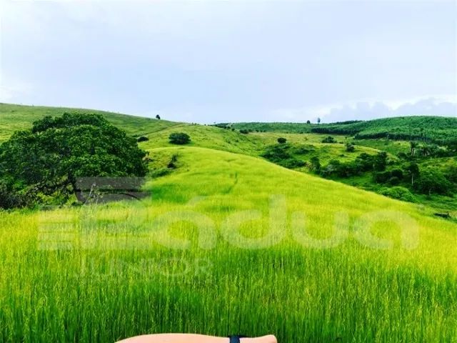 Fazenda em Indiaroba com 163 Tarefas - Foto 5