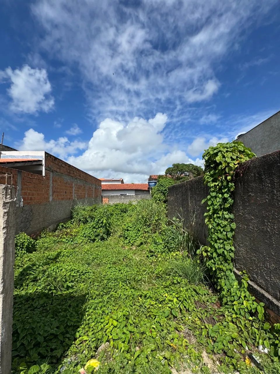 VENDO LOTE BARRA NOVA NA RUA XARÉU  - Foto 4