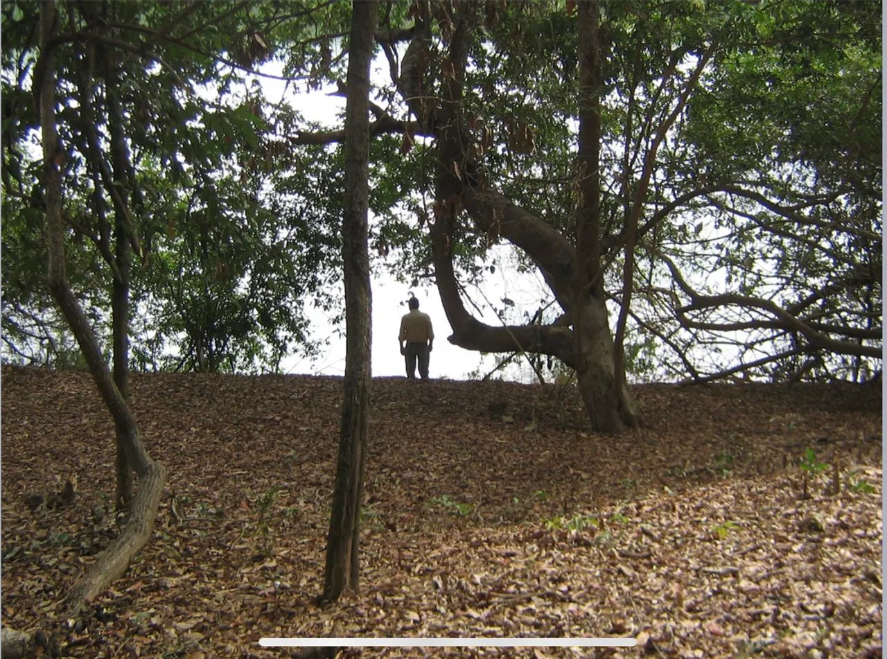 Pesqueiro / Lote / Rancho - Rio das mortes- cocalinho - Foto 2