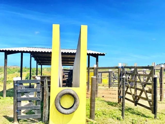 Fazenda em Indiaroba com 163 Tarefas - Foto 4