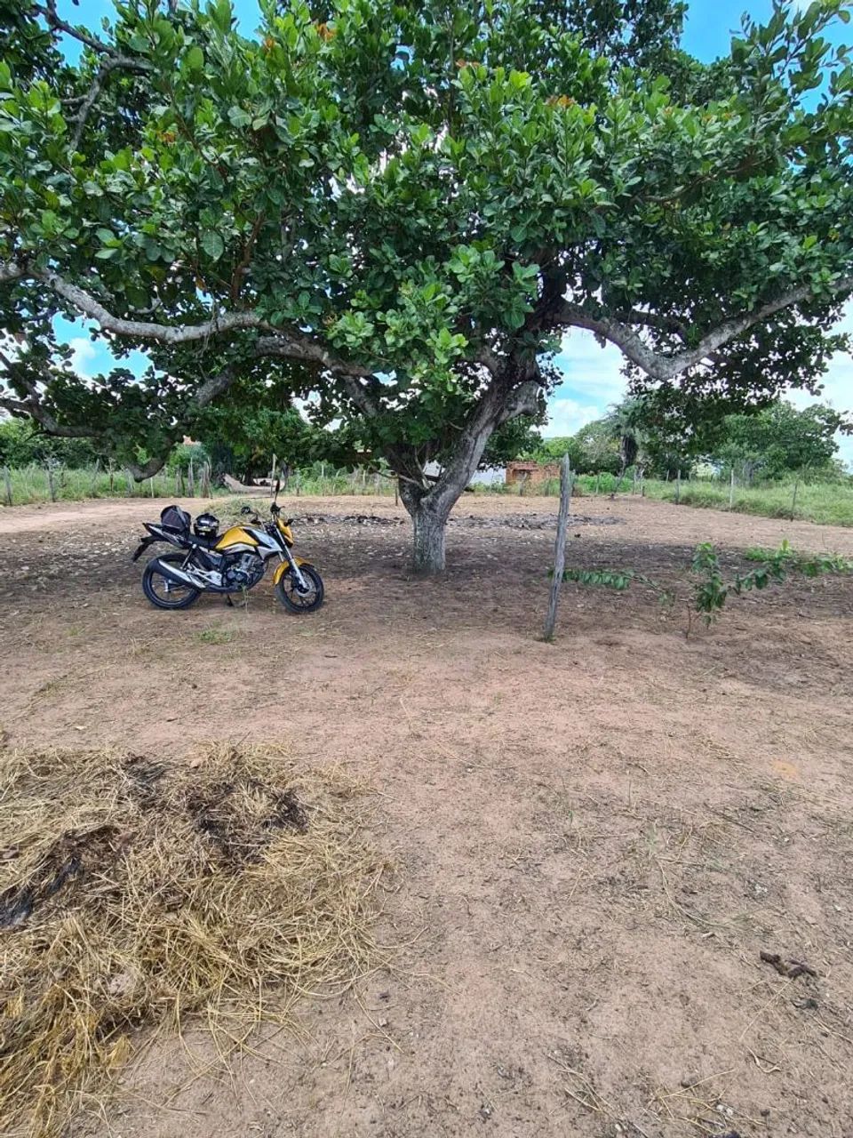 TERRENO - Foto 2