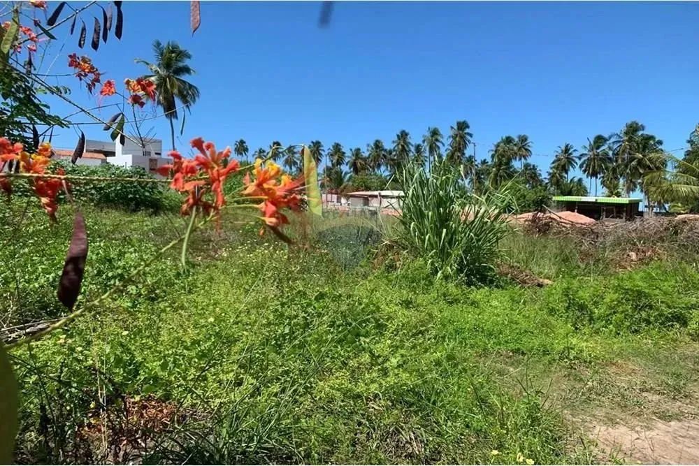 No Paraíso de Tatuamunha tem umTerreno esperando por você! - Foto 11