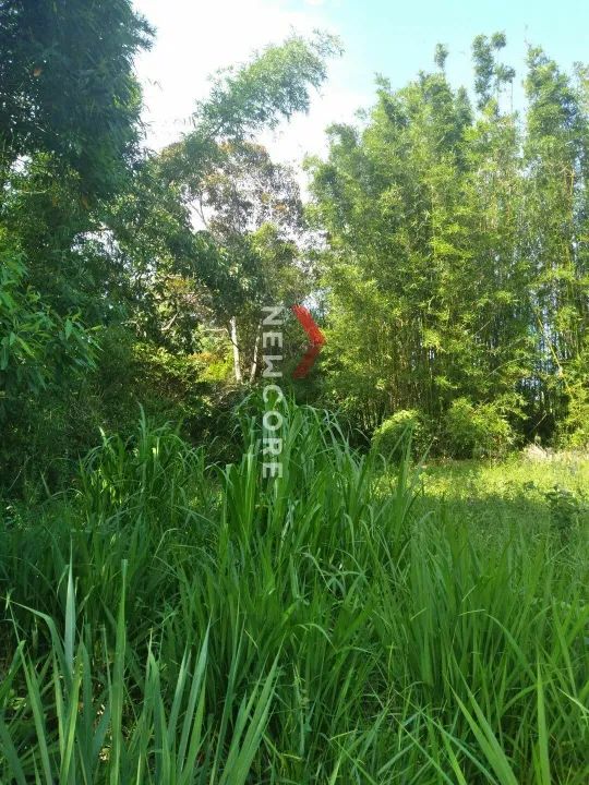 Lote em Rua 41227 - Ibiraquera - Imbituba/SC - Foto 3