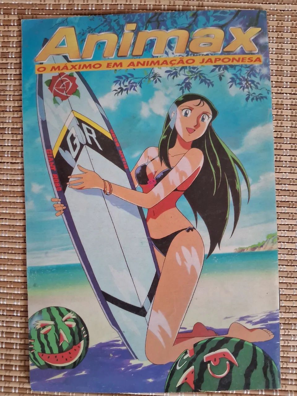 Revista Animax Ano 1 N° 1 - Anos 90 - Livros e revistas - Jardim