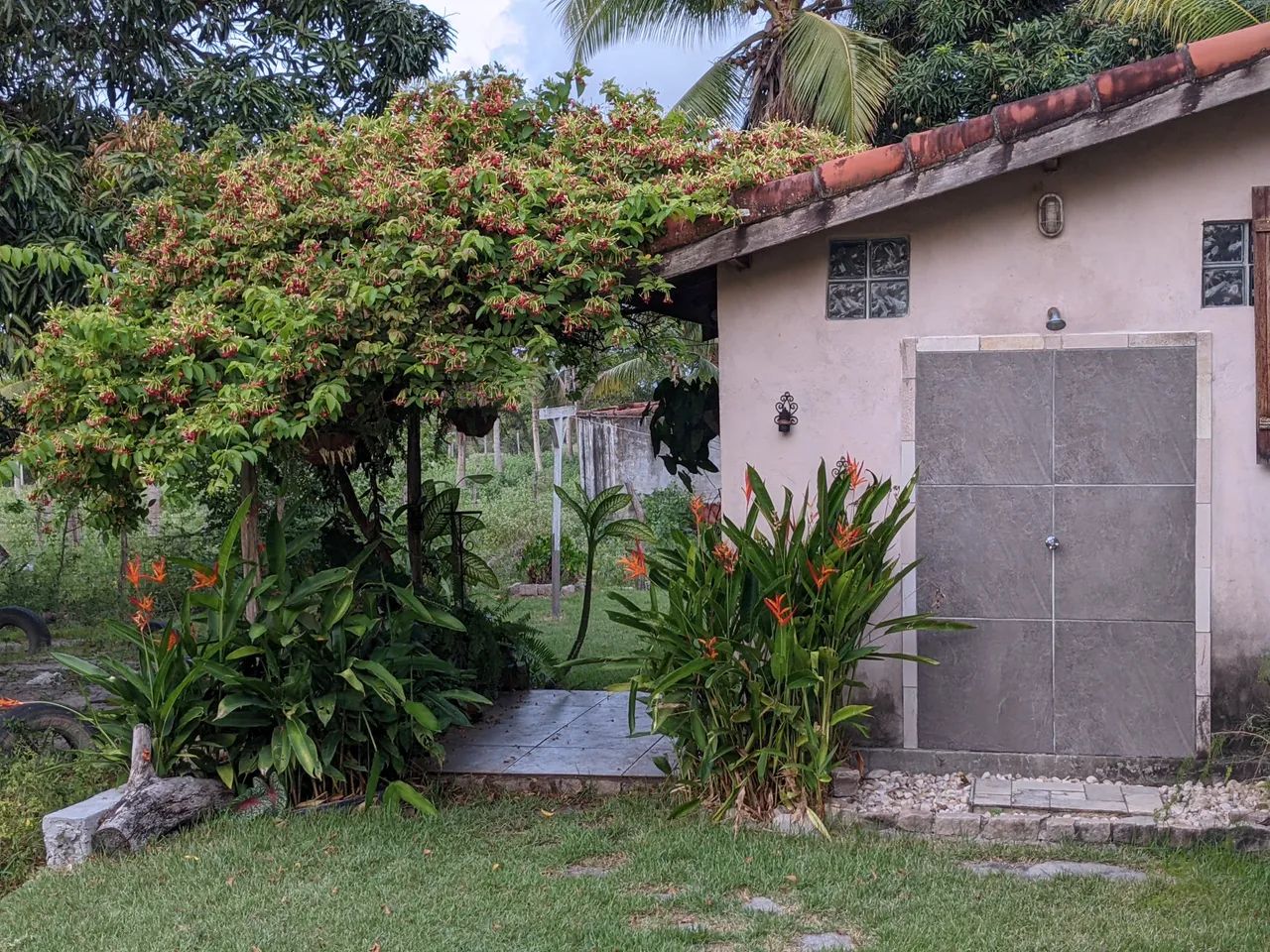 OPORTUNIDADE! ÁREA/CHÁCARA COM 3 HECTARES EM MACAÍBA - Foto 5