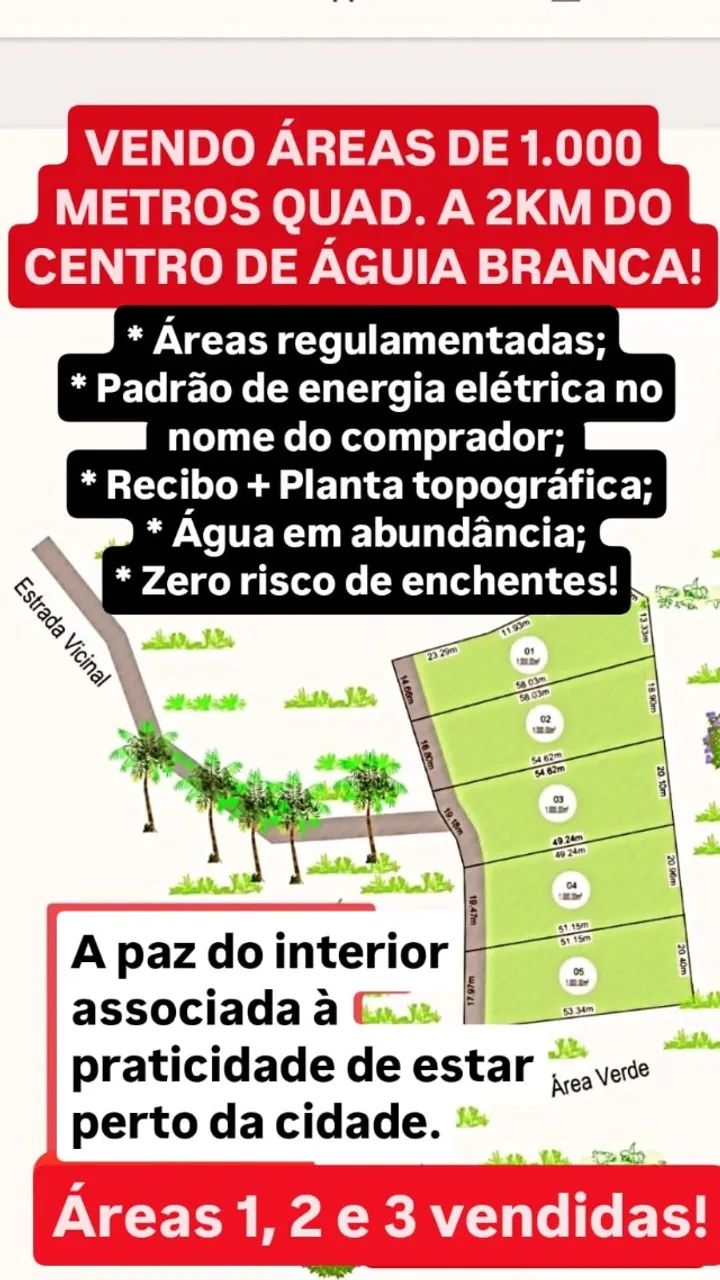 Foto - Águia Branca - 