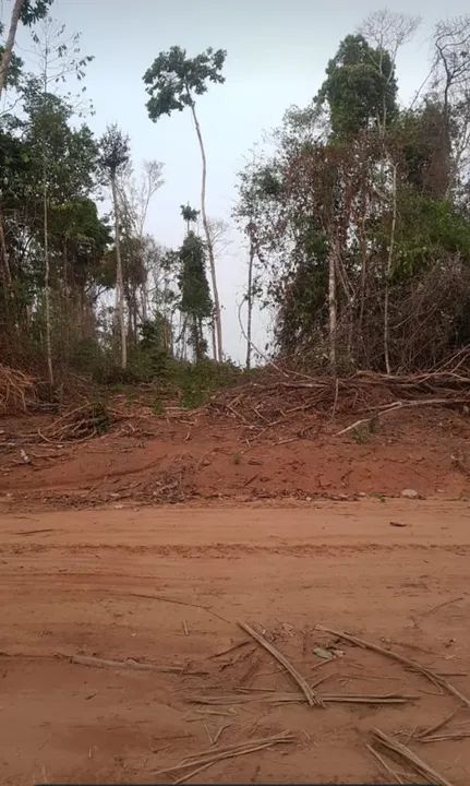 Terreno Chácara  - Foto 3