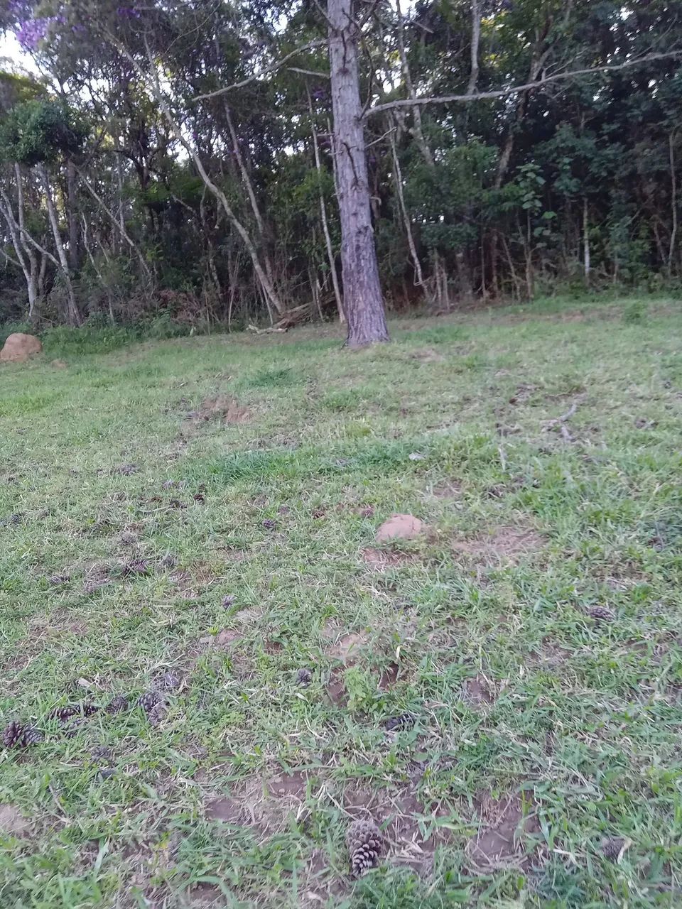 Primeira imagem do imóvel