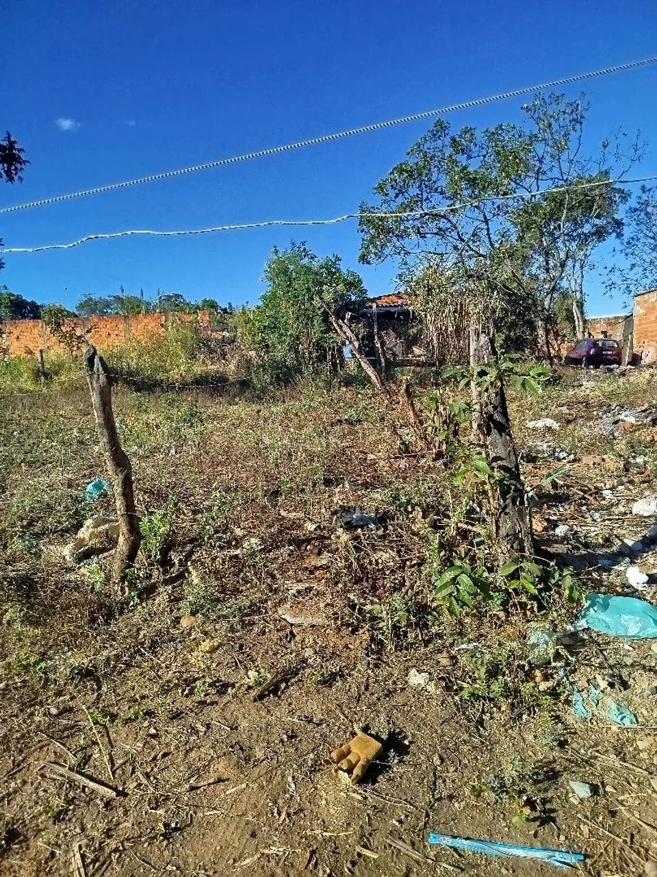 Lote - Foto 2