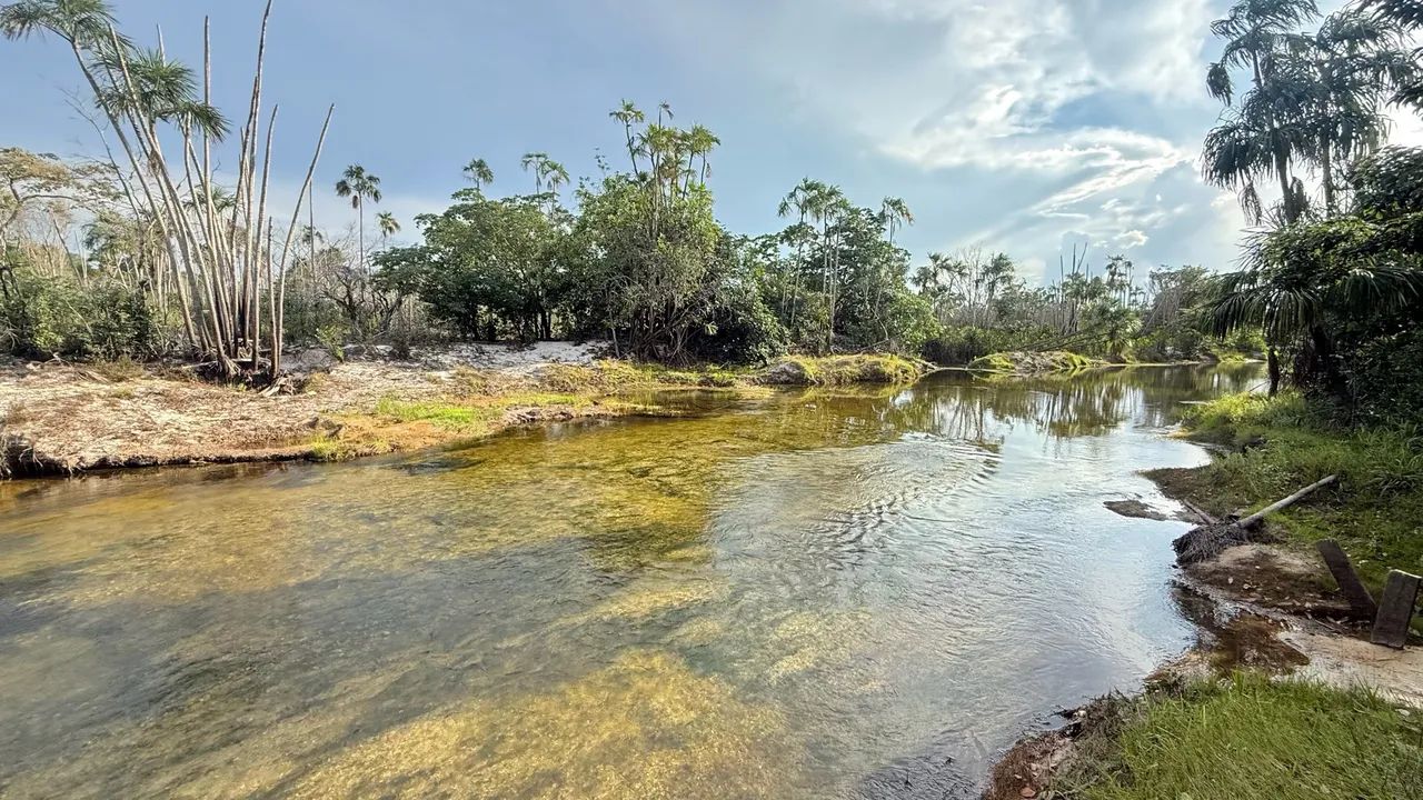 SÍTIO À VENDA EM ALTO ALEGRE - RR