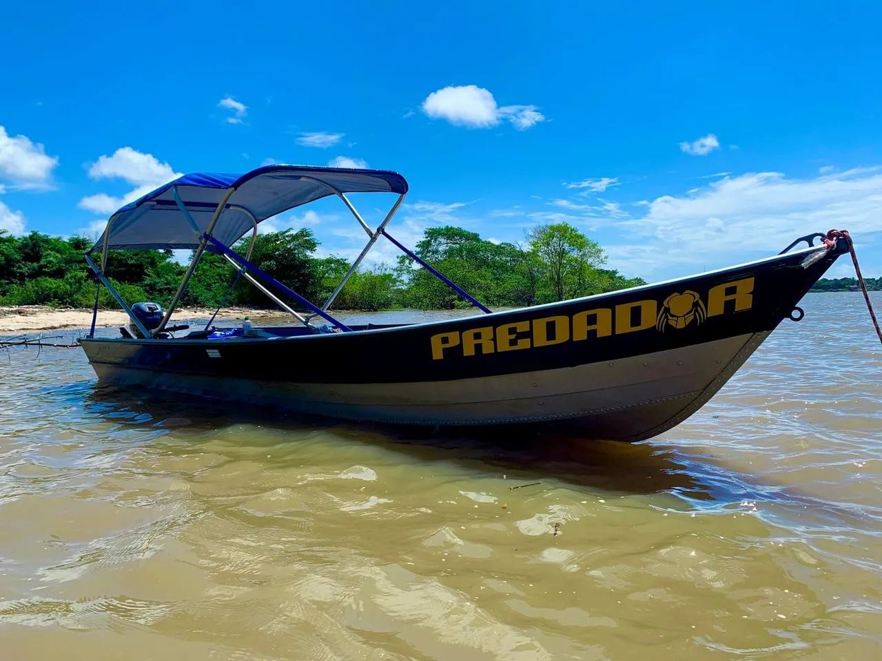 voadeira  - Foto 2