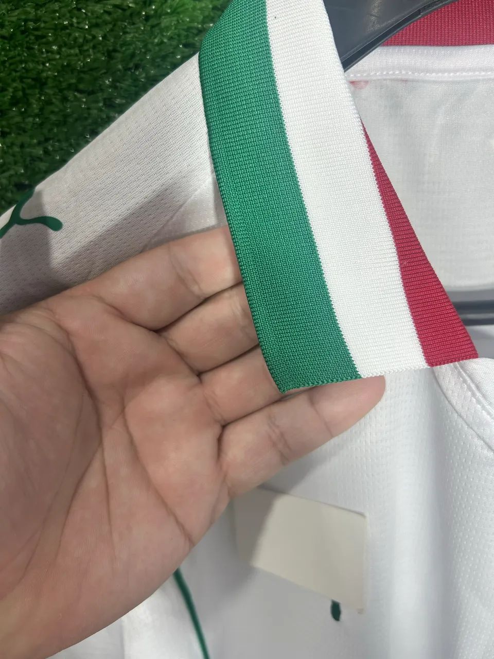 Palmeiras 2026 - Foto 4