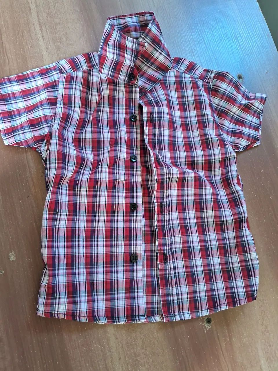 Camisa