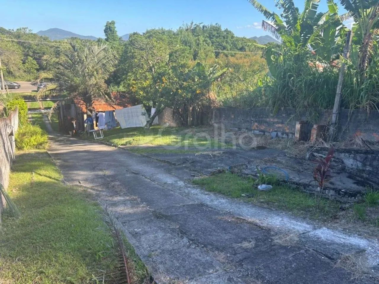 Terreno para Venda em Florianópolis, Jurerê - Foto 5
