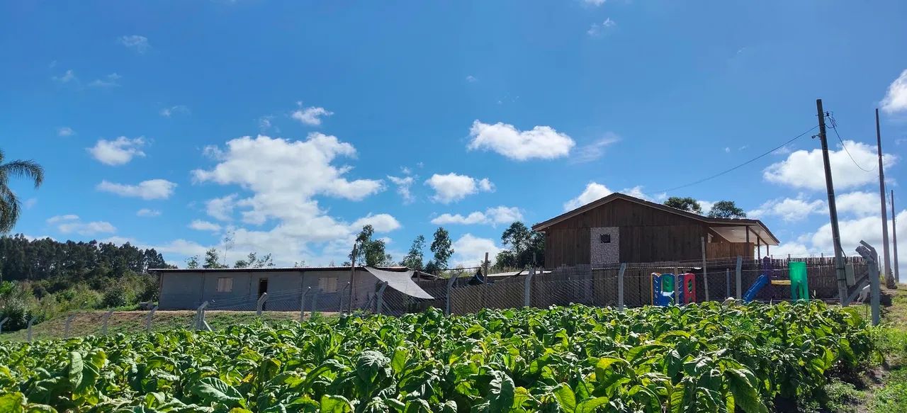Chácara a venda oportunidade  - Foto 5