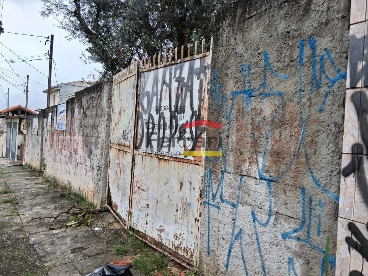 Terreno região Vila Guilherme 800m²