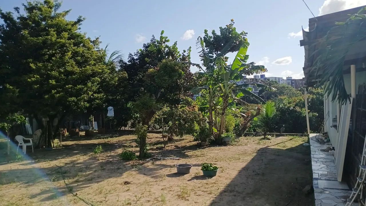 Terreno Bancários  - Foto 3