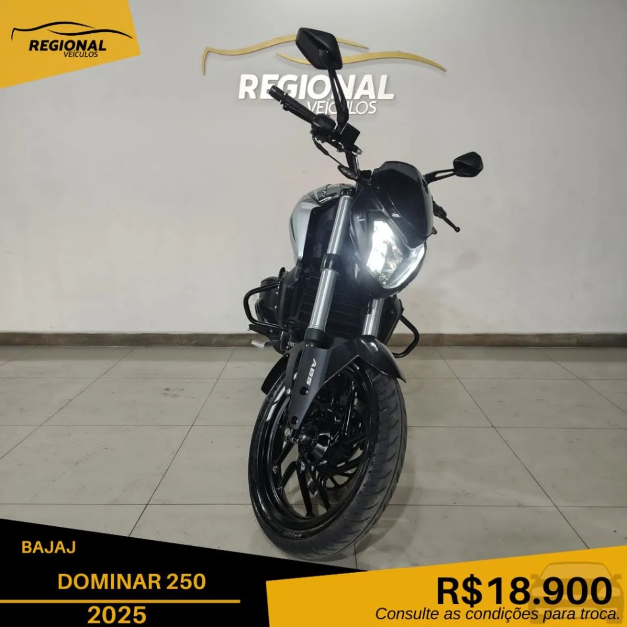 DOMINAR 250 - Foto 2