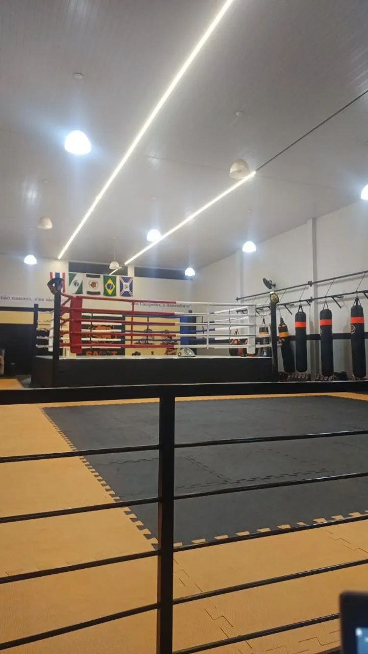 RINGUE PROFISSIONAL  - Foto 4