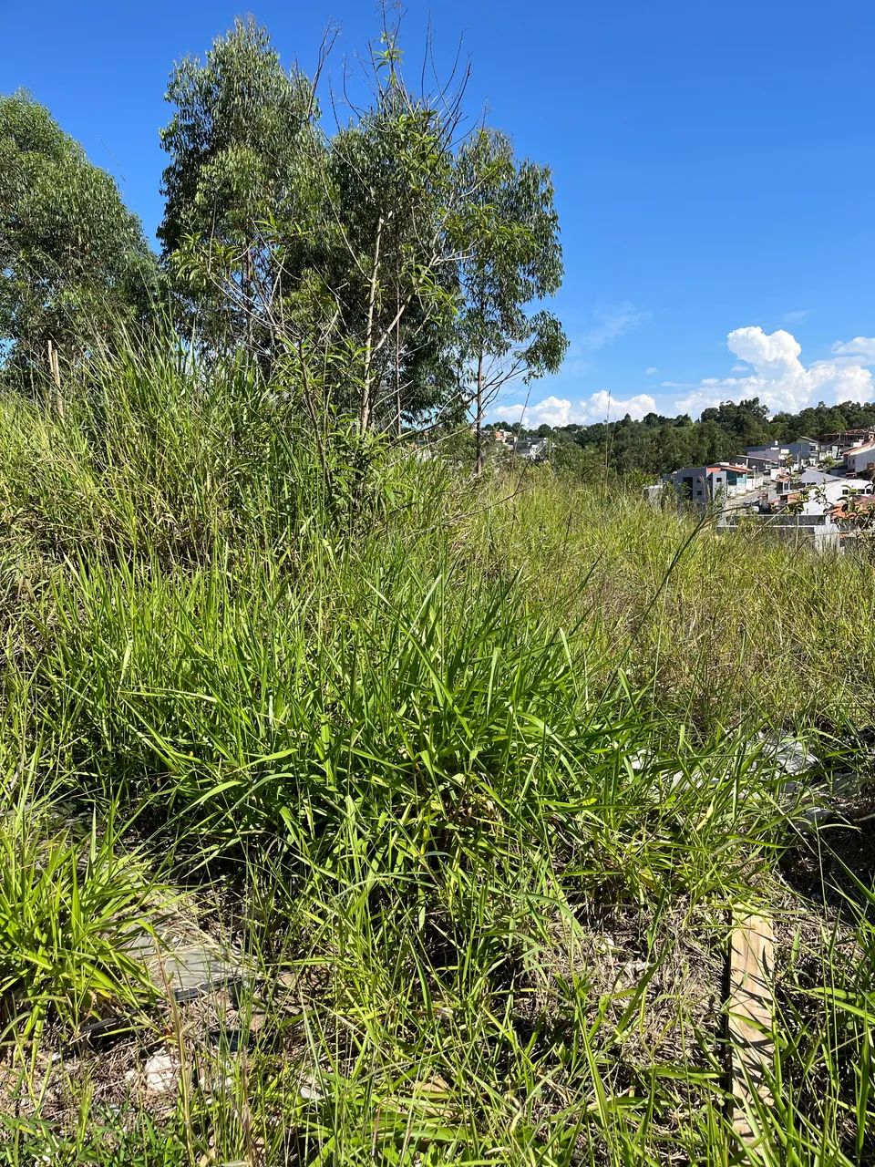 Foto - Franco da Rocha - Residencial Santo Antônio