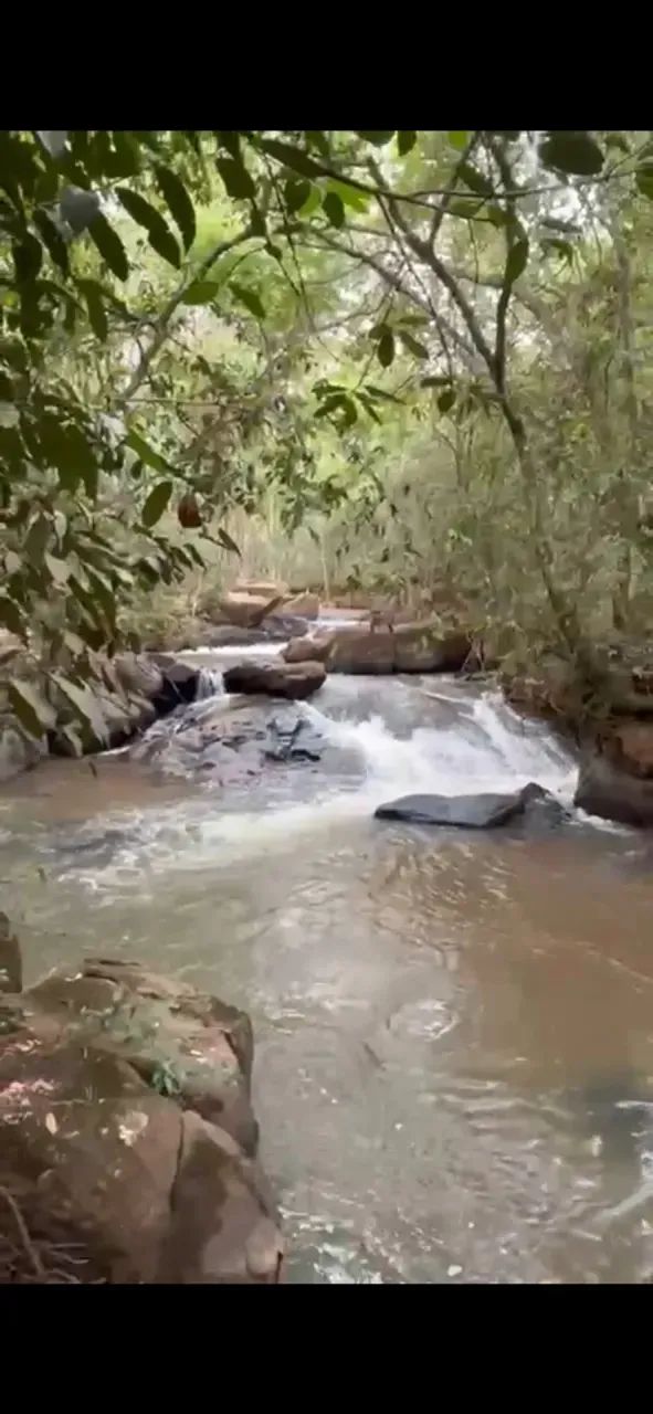 Chácara 18 alqueires Goianápolis oportunidade - Foto 3