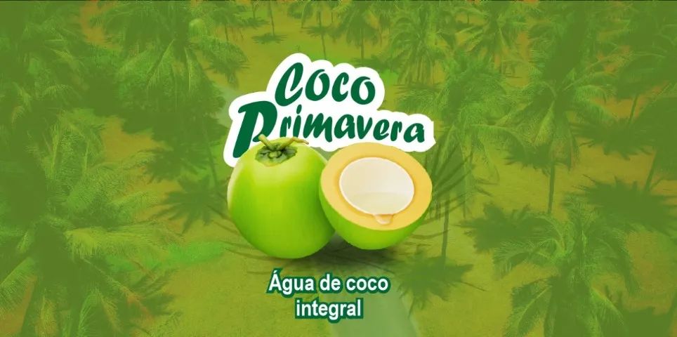 Disponibilidade de entrega Coco para venda de água de coco  - Foto 4