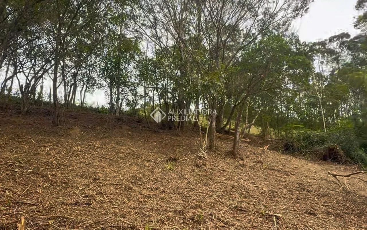 Terreno de 1000m² em Garopaba - Foto 4