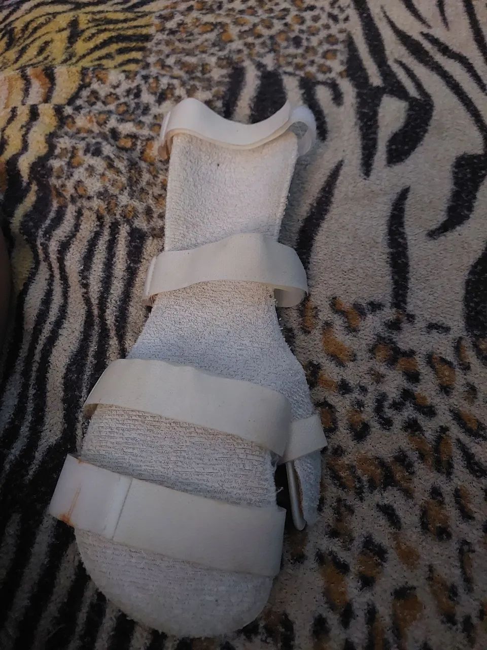 Tala mao direita
