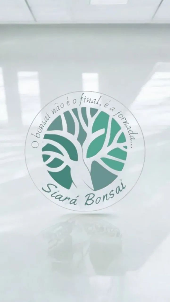 Bonsai, Pré-Bonsai e Vasos - Foto 6