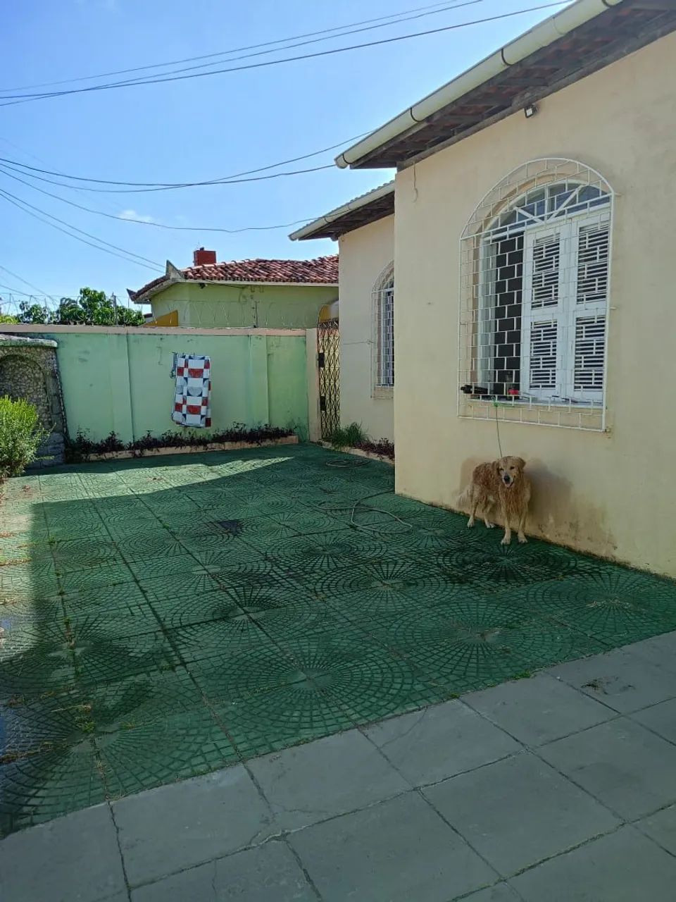 Vendo excelente casal. - Foto 2