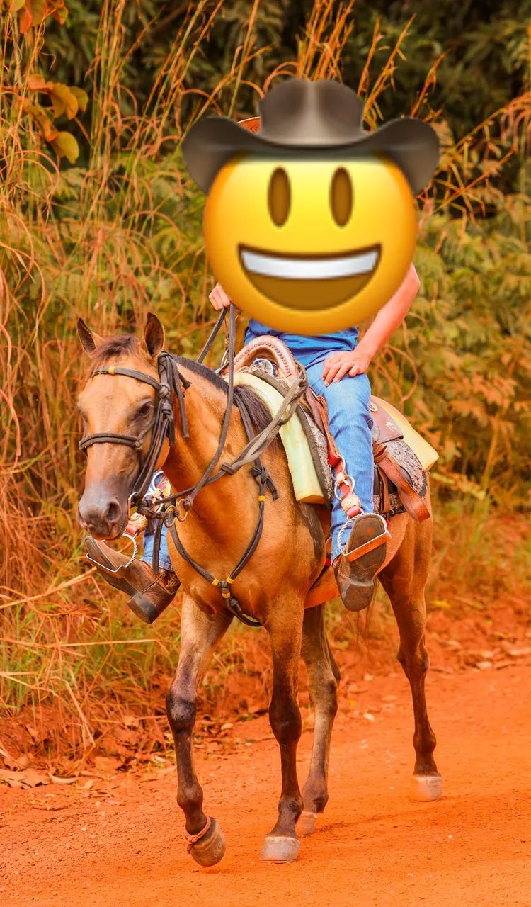 Vendo cavalo  - Foto 3
