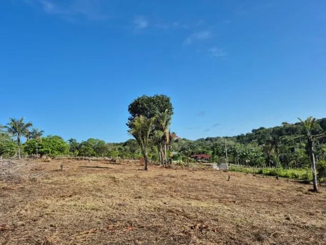Dois Terrenos à venda em Tonantins - AM - Foto 5
