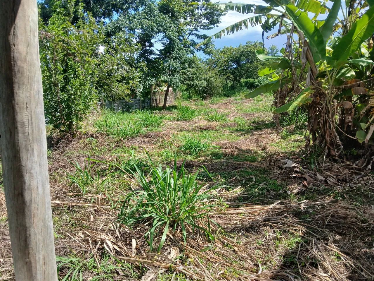 Chacara 80mil - Foto 5