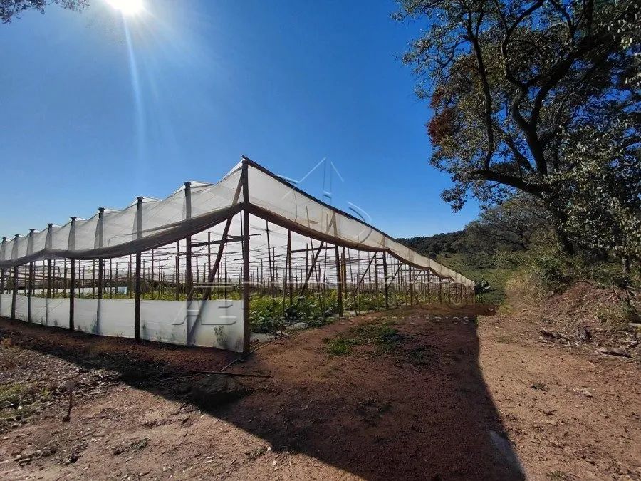 ÁREA COM 20.000 m² - Aparecidinha - Sorocaba/SP - Foto 3
