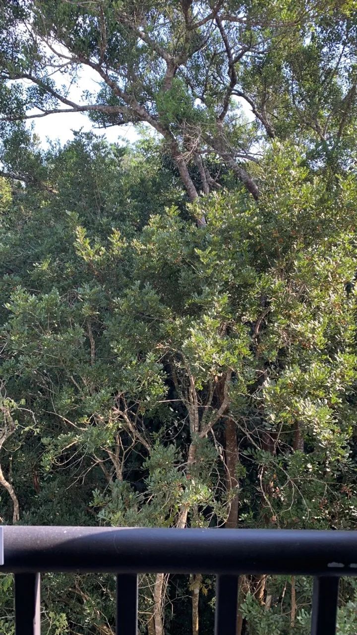 Condomínio Parque das Araucárias  - Foto 4
