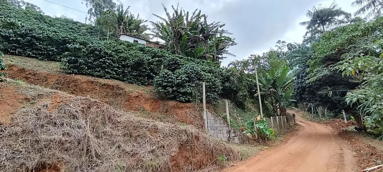 casa terreno mini chácara galpão  - Foto 3