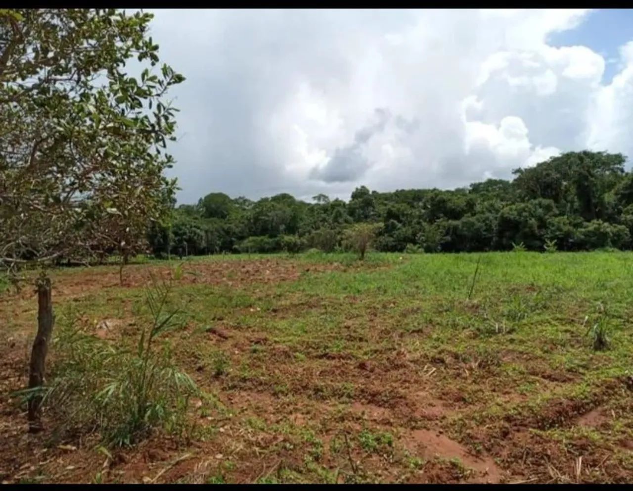 Fazenda a venda - Tocantins  - Foto 4