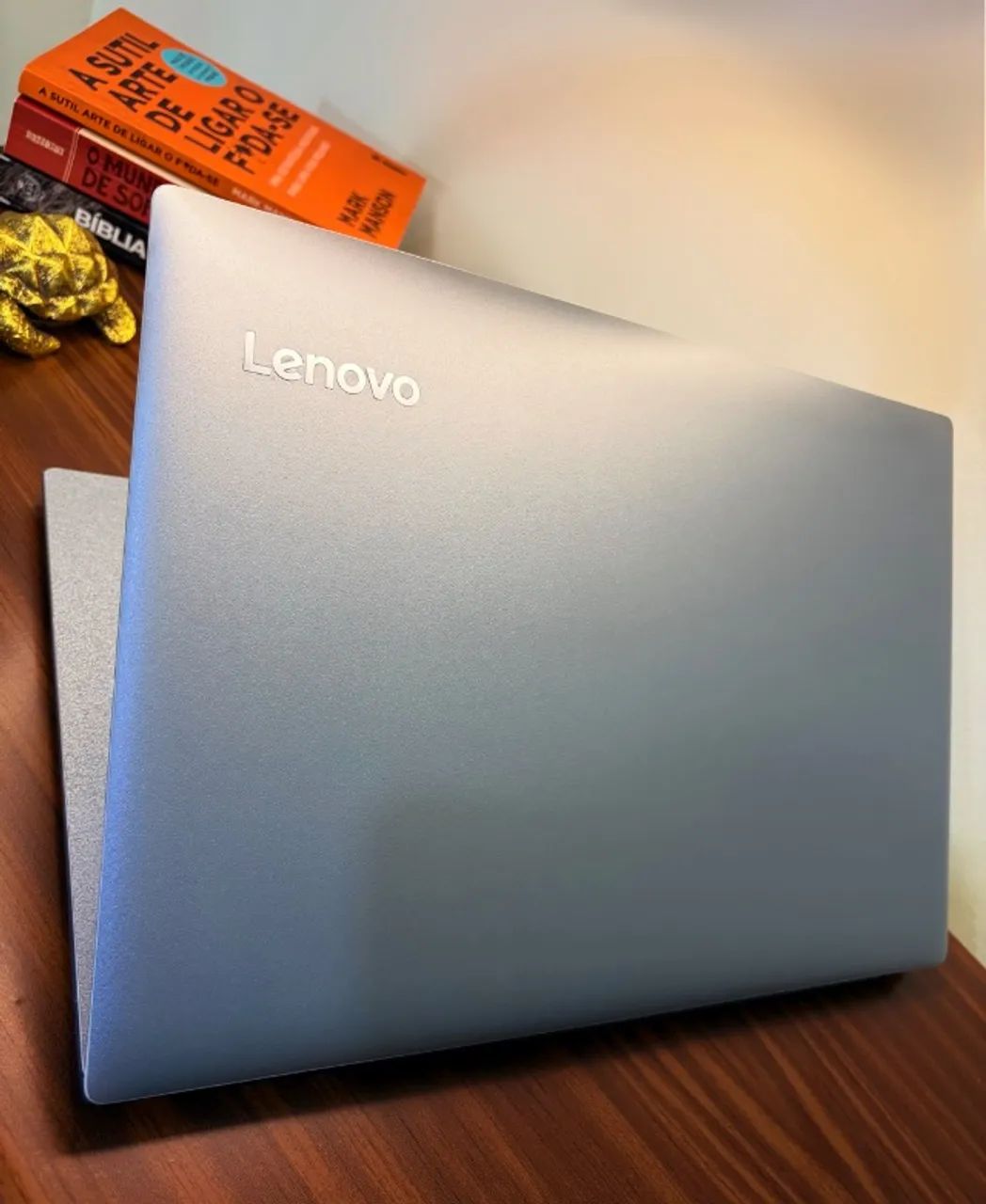Notebook LENOVO iDeaPad Intel Core Lindão e Rápido! 