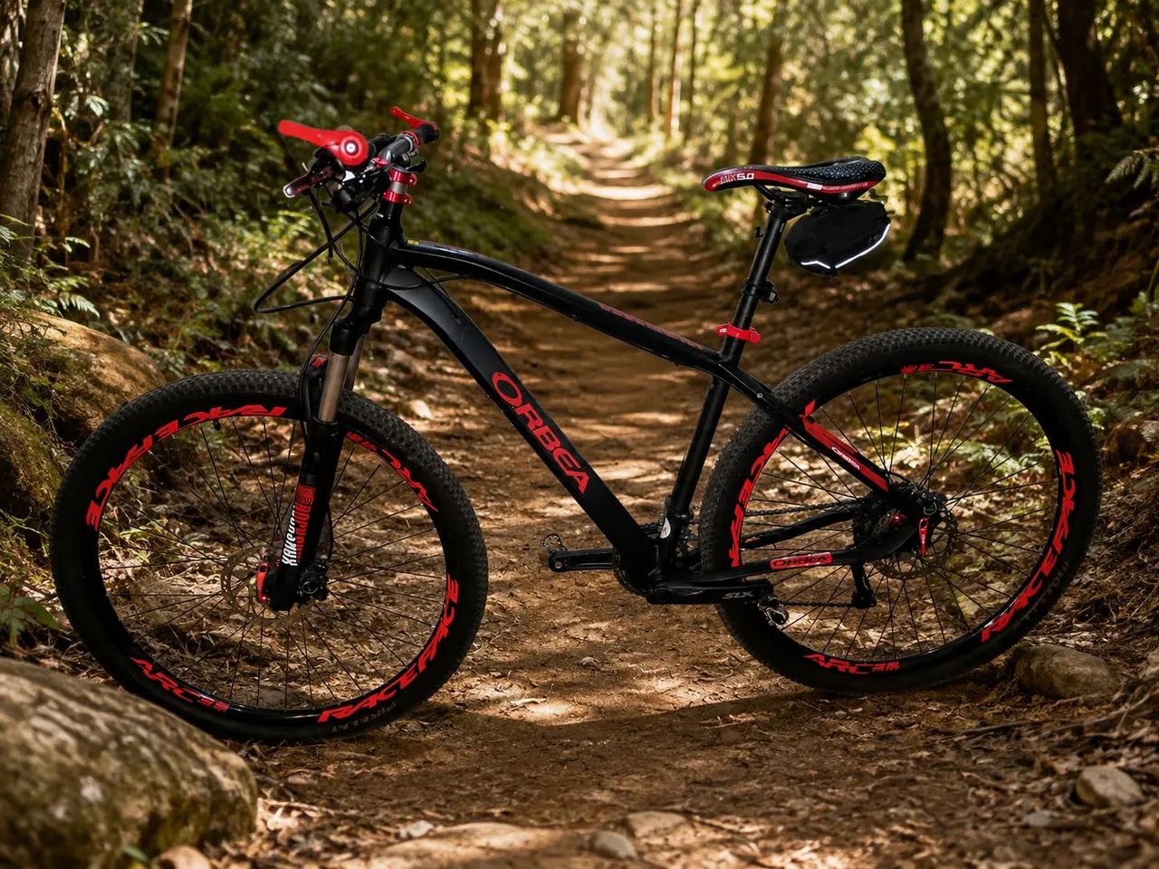 Bicicleta MTB Orbea Mx29 - Foto 4
