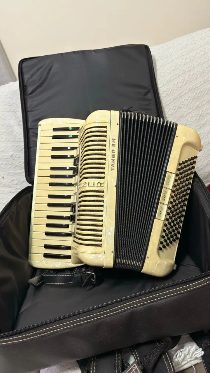 Acordeon ( sanfona) honner 96 baixos  - Foto 3