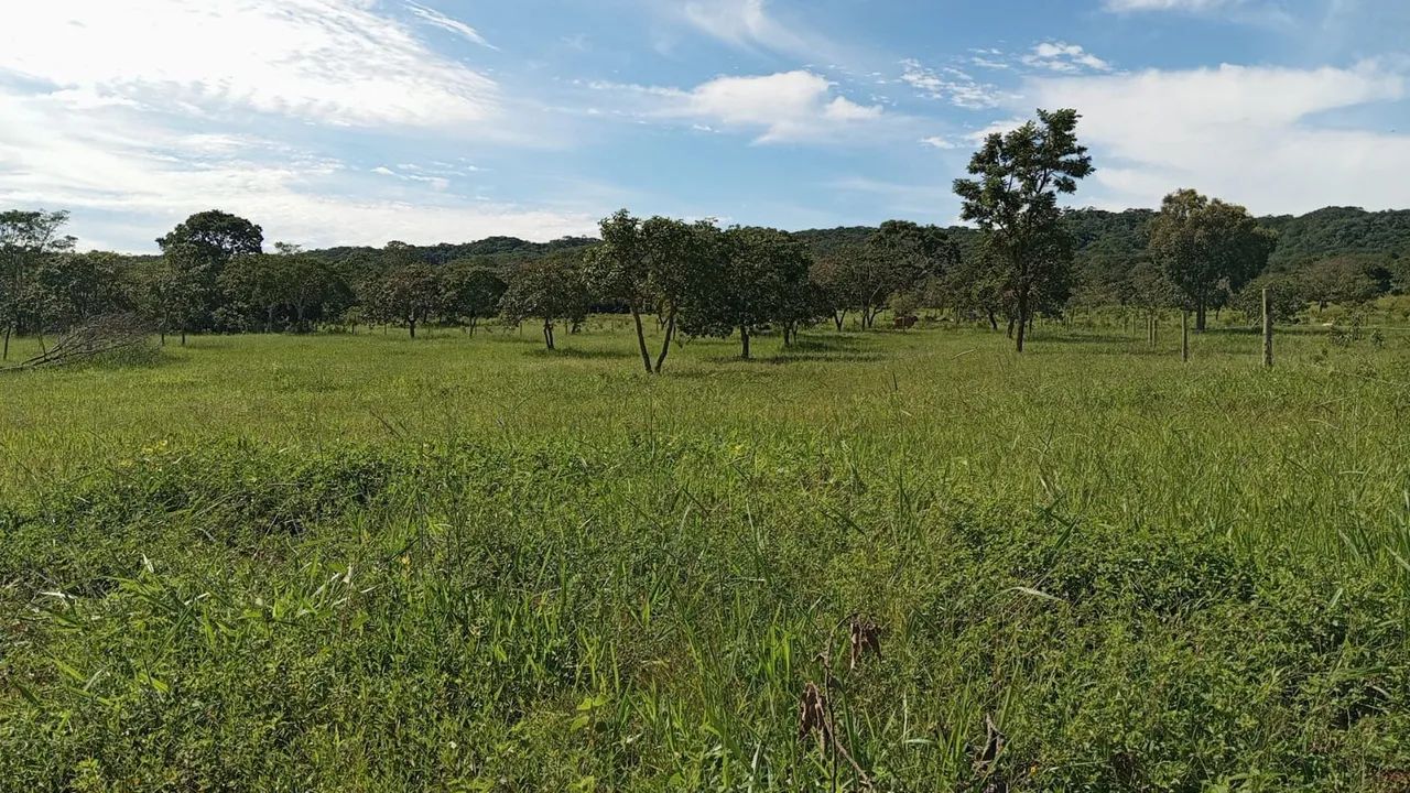 Fazenda DF Planaltina/Sobradinho  - Foto 4