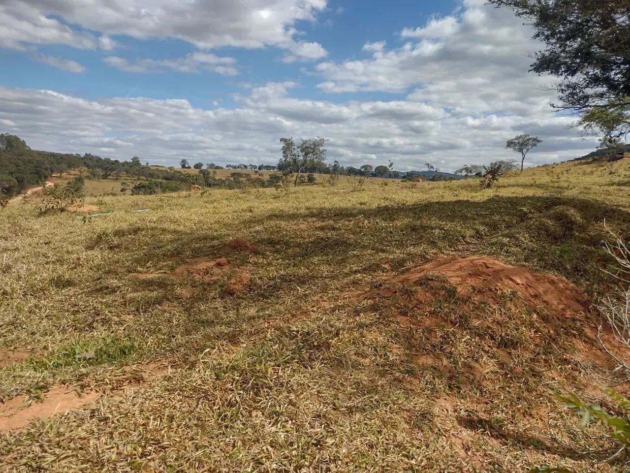 Terreno com boa topografia e água em Zona Rural - Carmópolis de Minas - MG - Foto 2