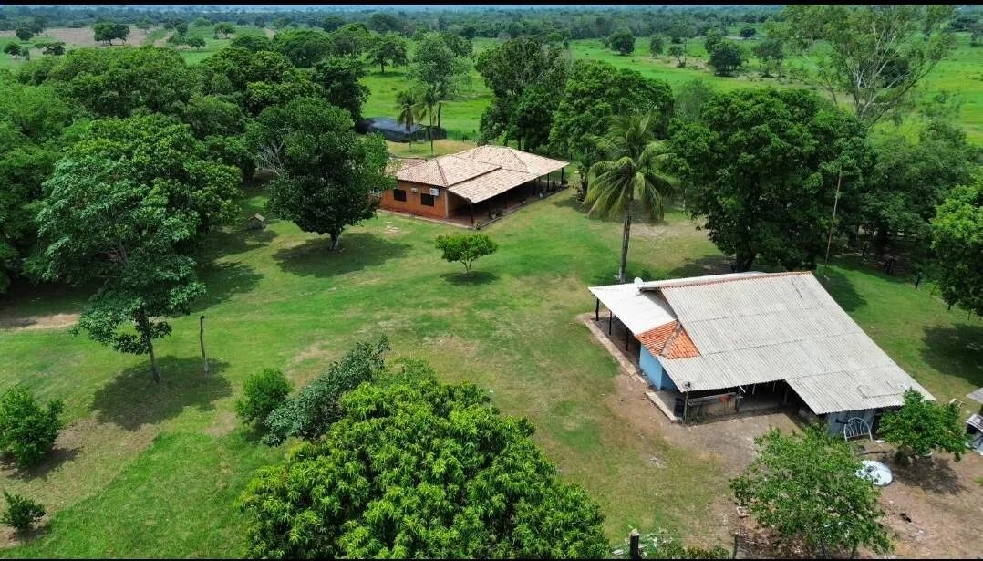 Fazenda a Venda de 646 Hectares próxima a Cuiaba MT - Foto 3