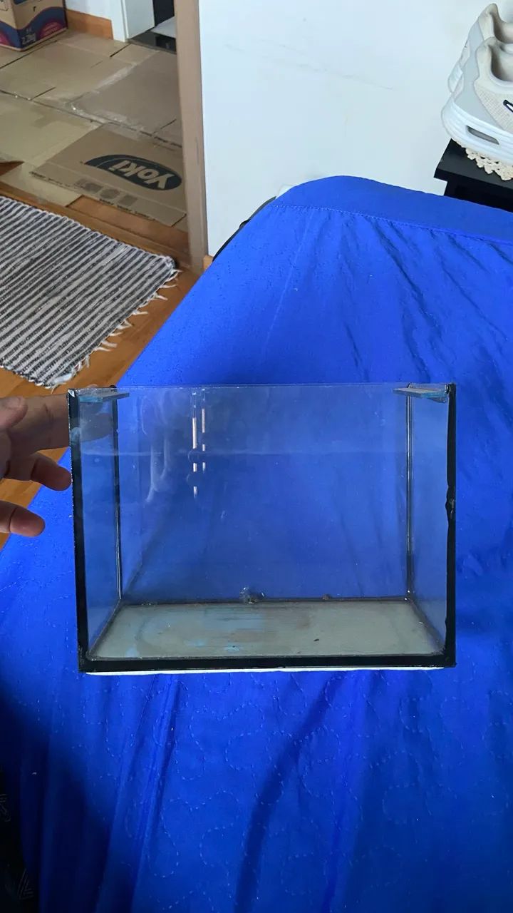 Aquário para Beta  - Foto 4