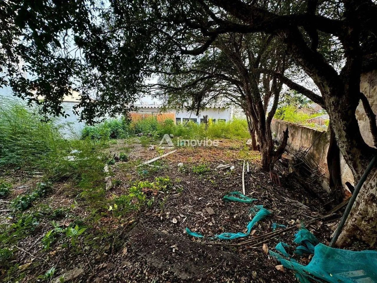Lote/Terreno, Centro - Americana - Foto 3