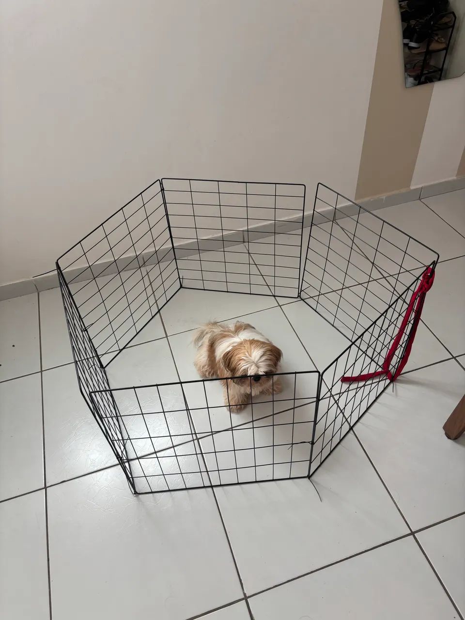 Cercado Grade Para Pets